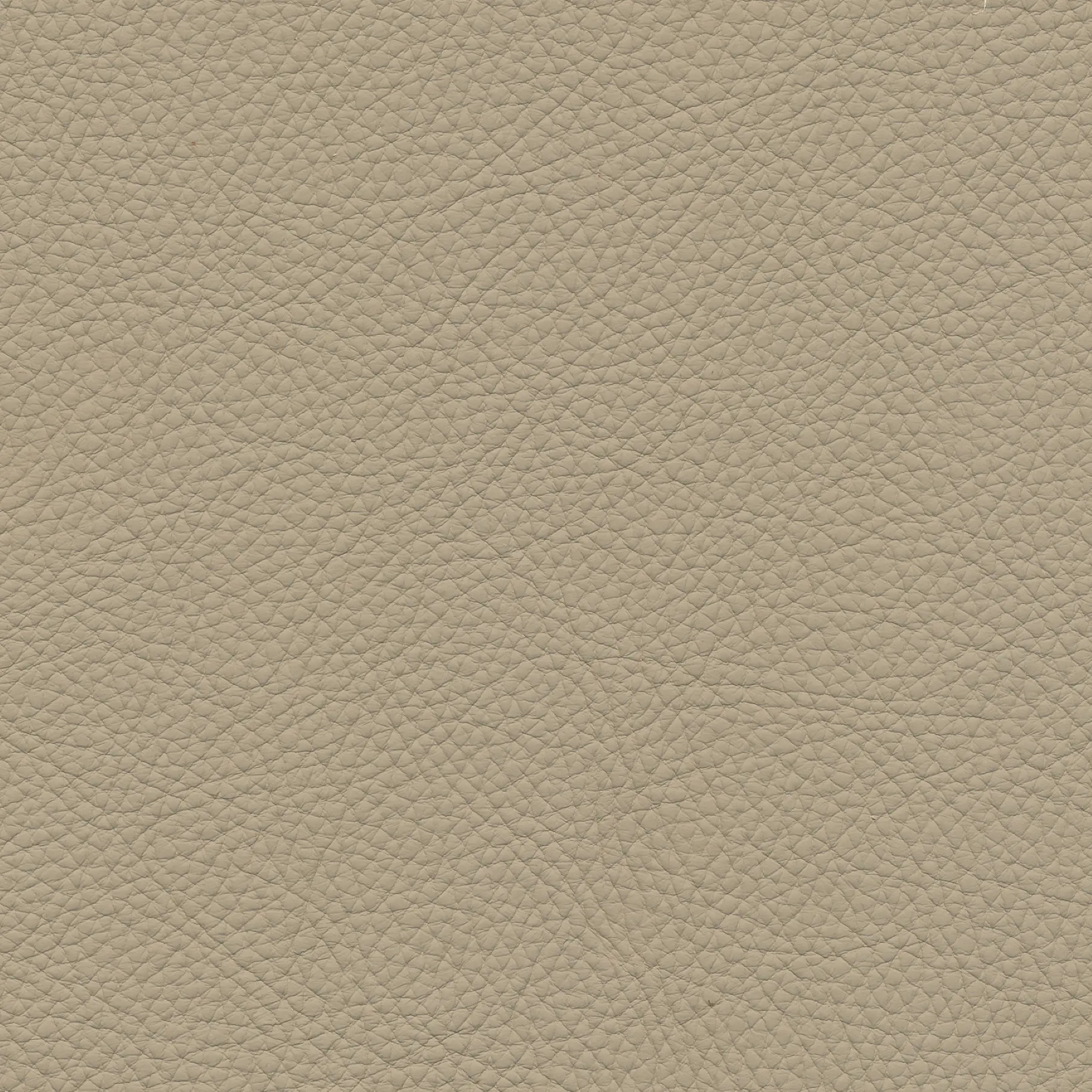 afbeelding van Kleurstaal voor thuis - Toledo Mastic (taupe/bruin)