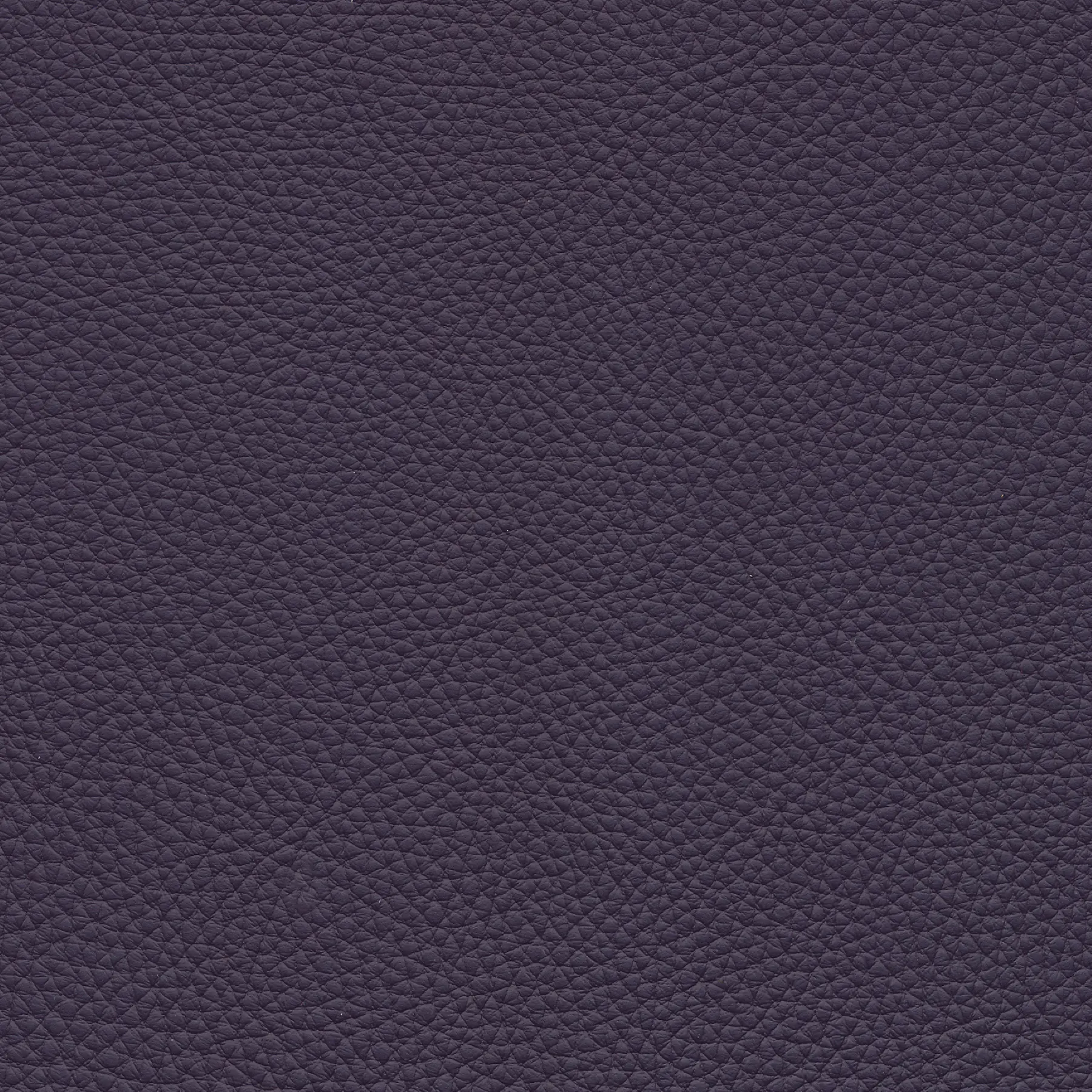 afbeelding van Kleurstaal voor thuis - Toledo Merlin (donkerpaars)