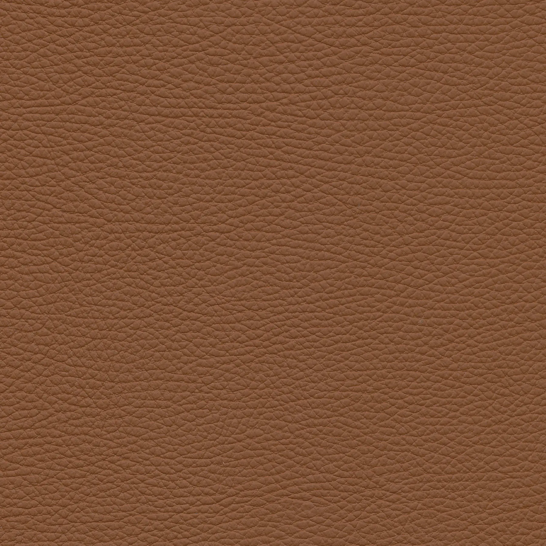 afbeelding van Kleurstaal voor thuis - Toledo Natur (cognac)