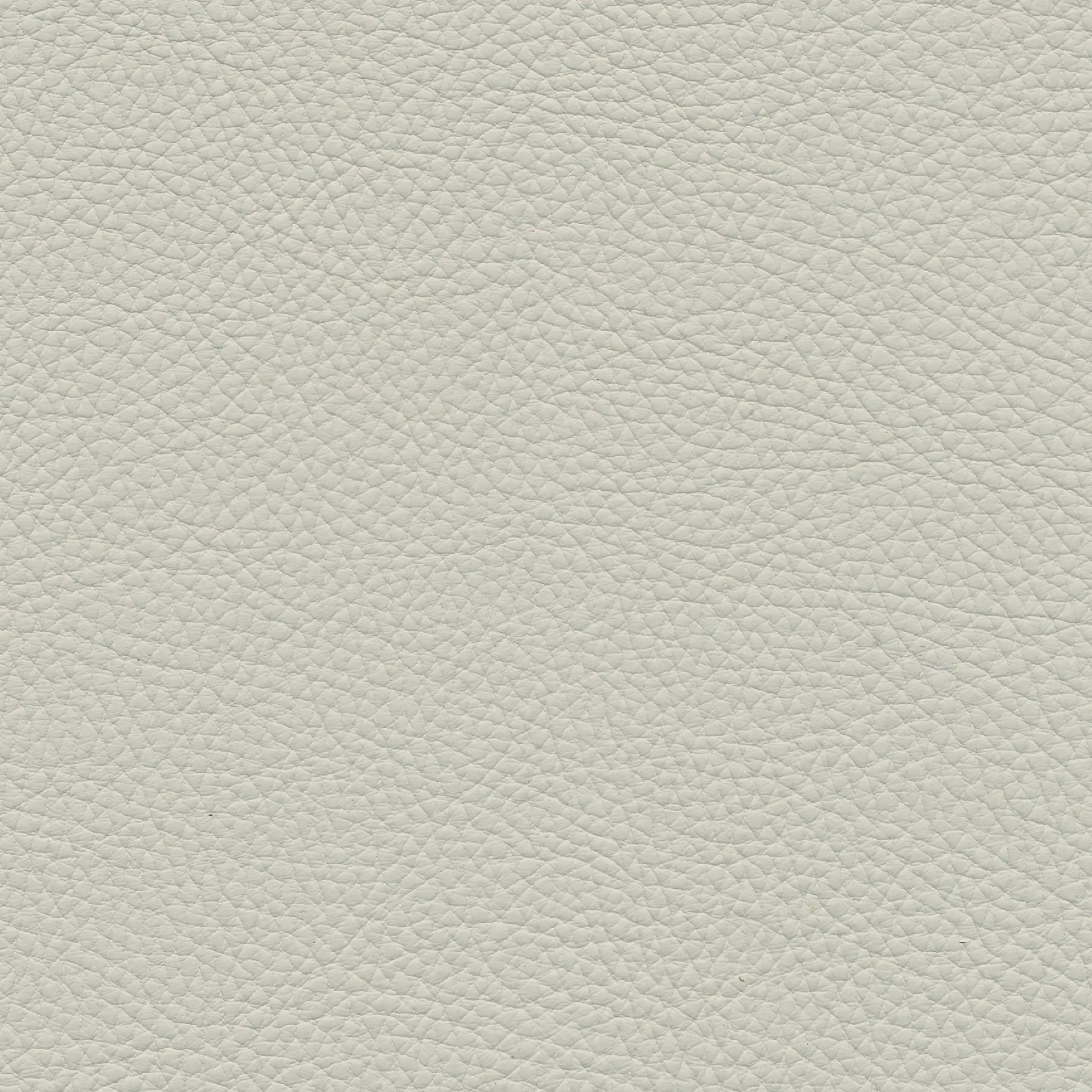 afbeelding van Kleurstaal voor thuis - Toledo Nebbia (crème)