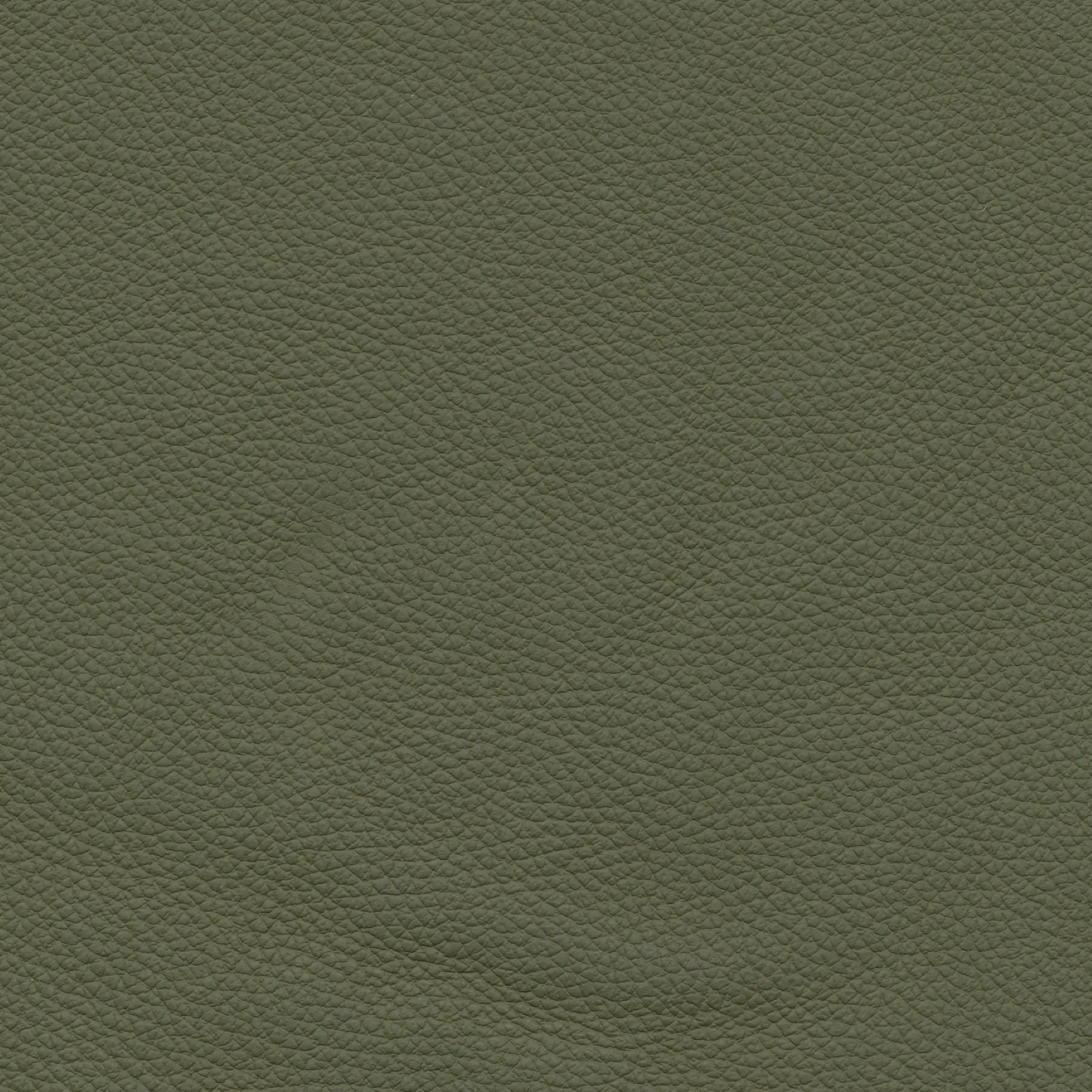 afbeelding van Kleurstaal voor thuis - Toledo Olive (olijf/groen)