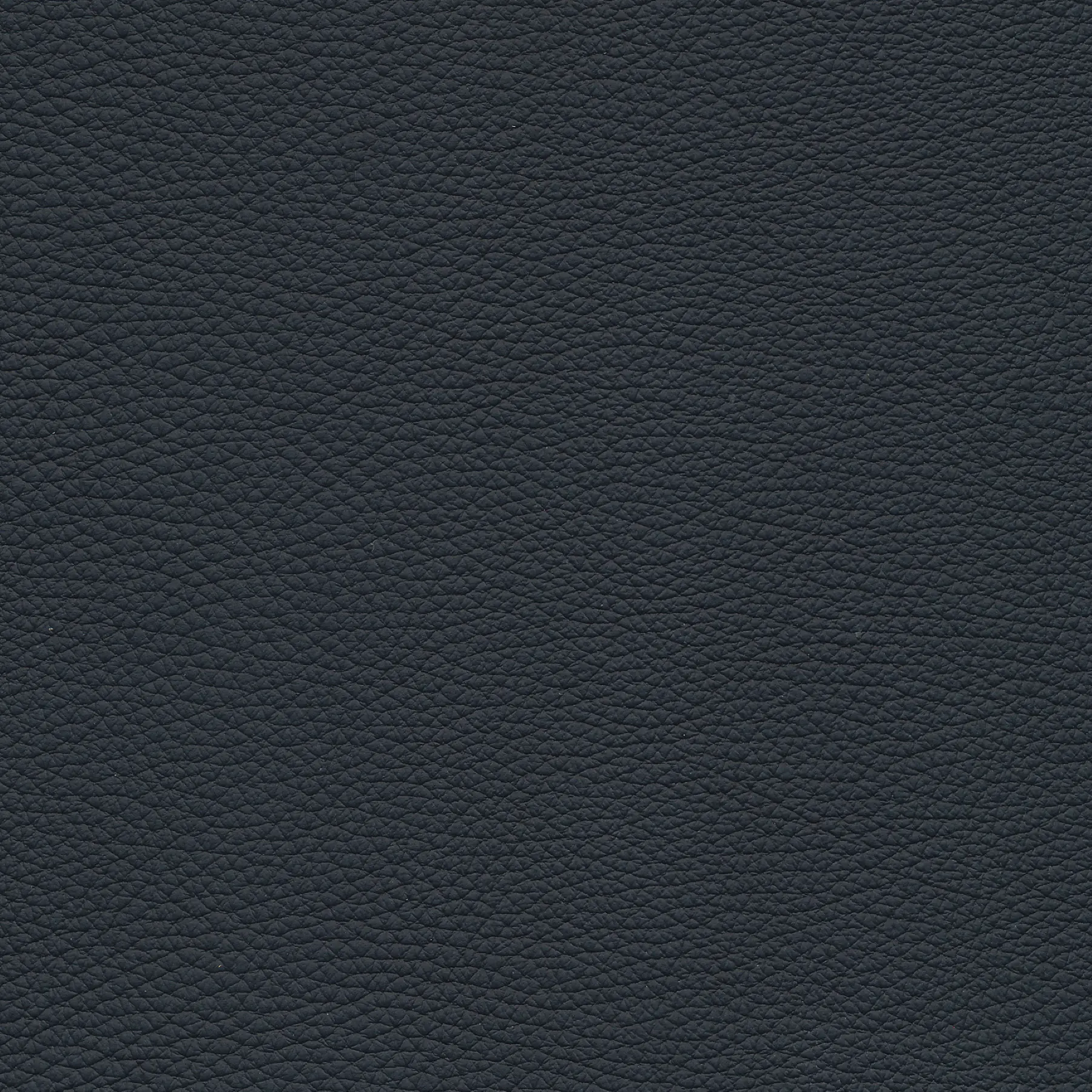 afbeelding van Kleurstaal voor thuis - Toledo Pacific (donkerblauw)