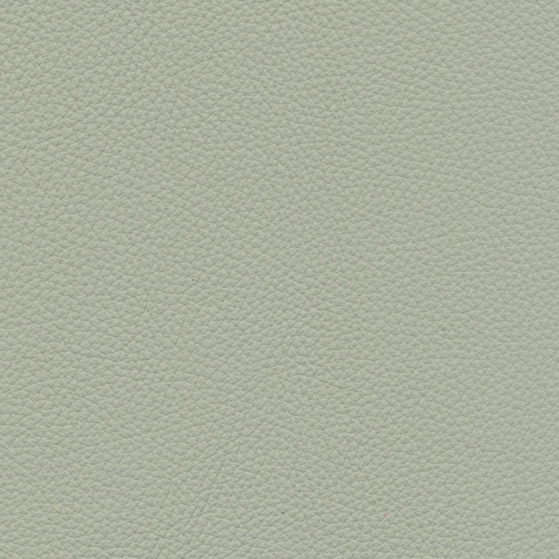 afbeelding van Kleurstaal voor thuis - Toledo Perle (lichtgrijs)