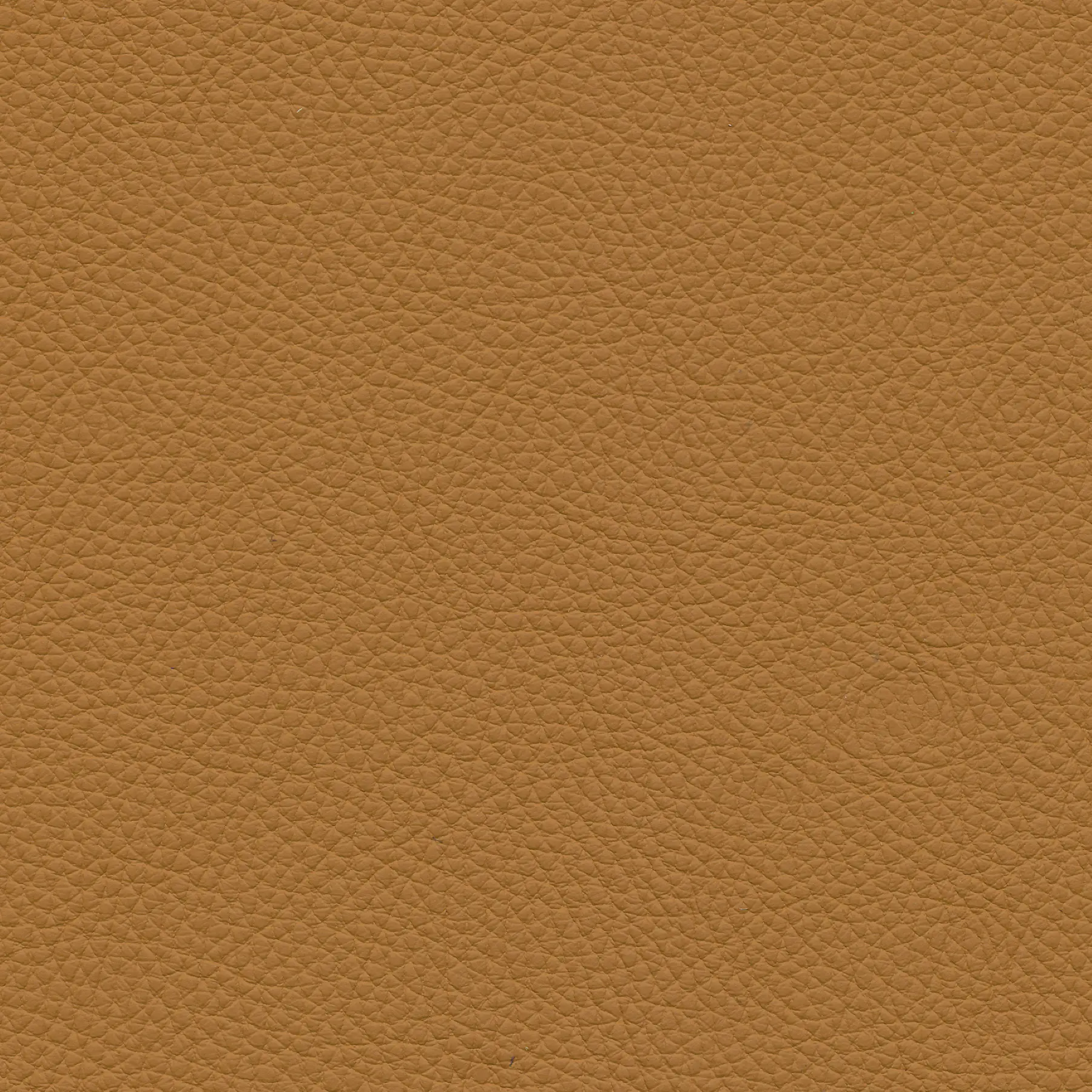 afbeelding van Kleurstaal voor thuis - Toledo Sabbia (lichtcognac)