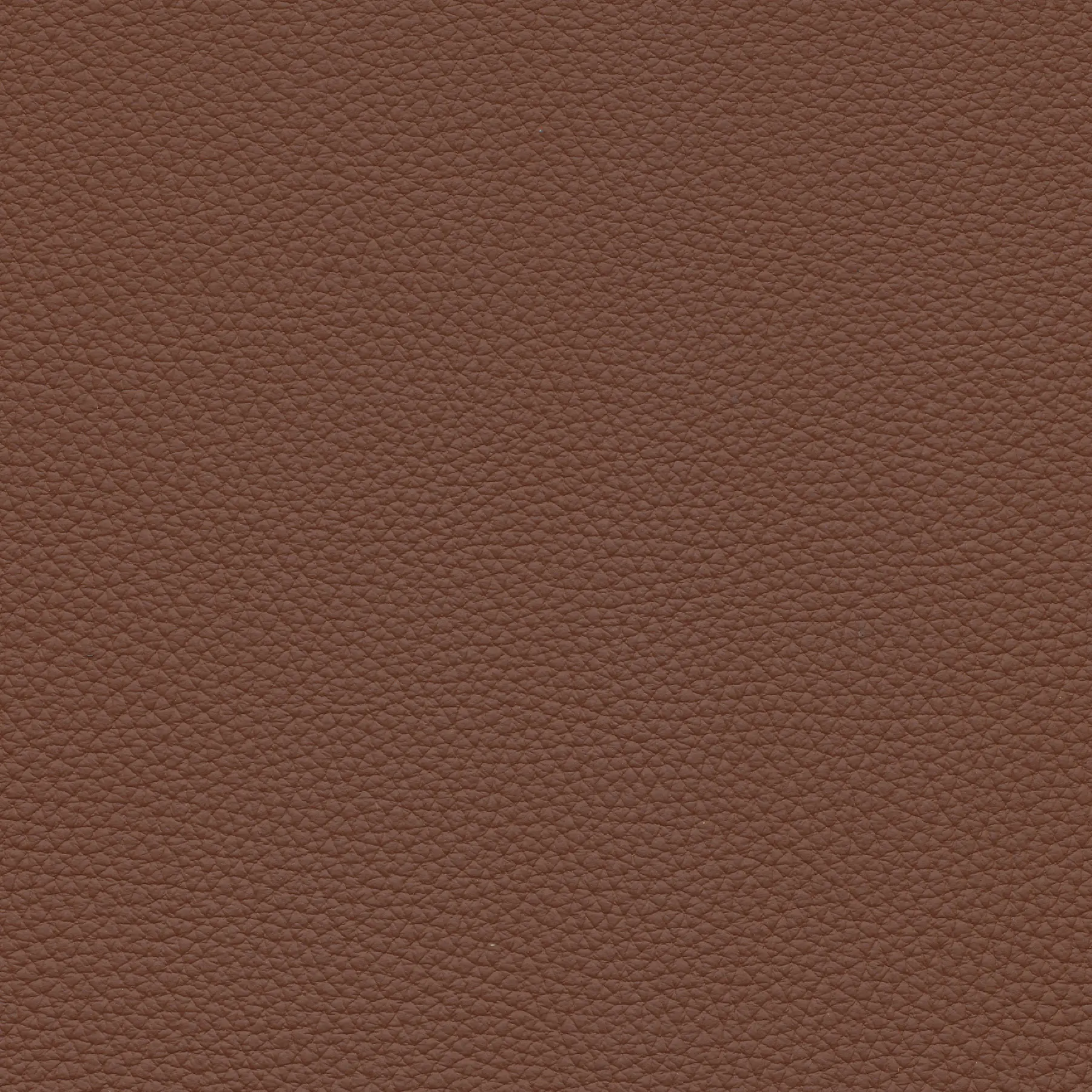 afbeelding van Kleurstaal voor thuis - Toledo Terra (donkercognac)