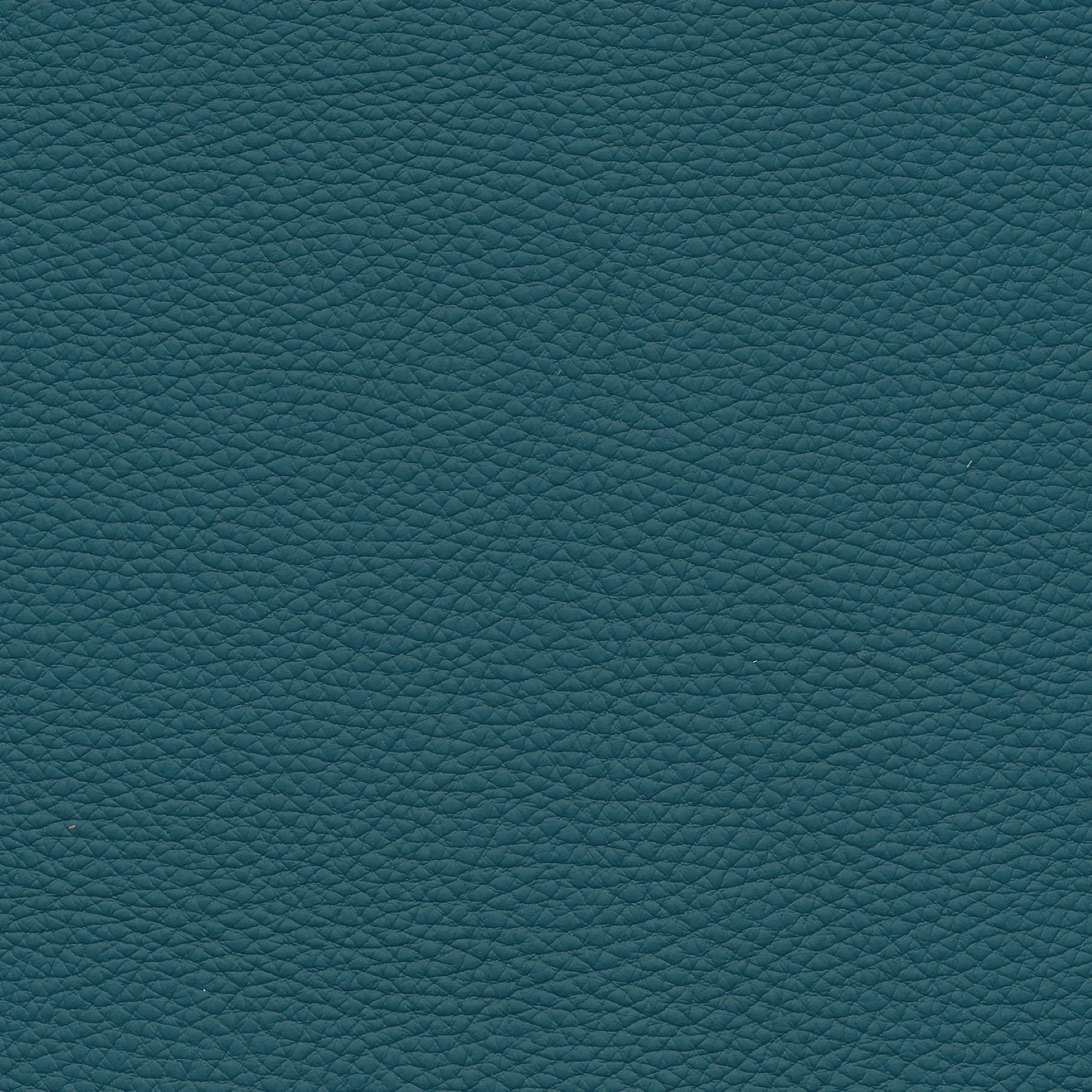 afbeelding van Kleurstaal voor thuis - Toledo Turquoise (blauw)