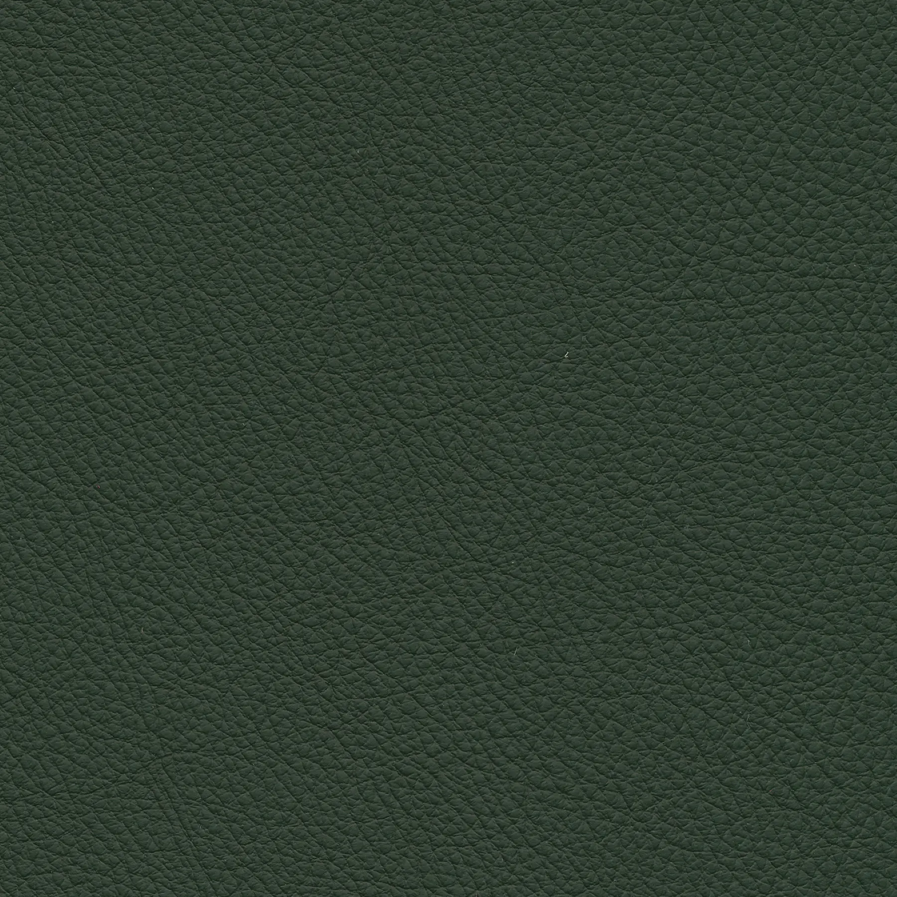 afbeelding van Kleurstaal voor thuis - Toledo Verde (donkergroen)