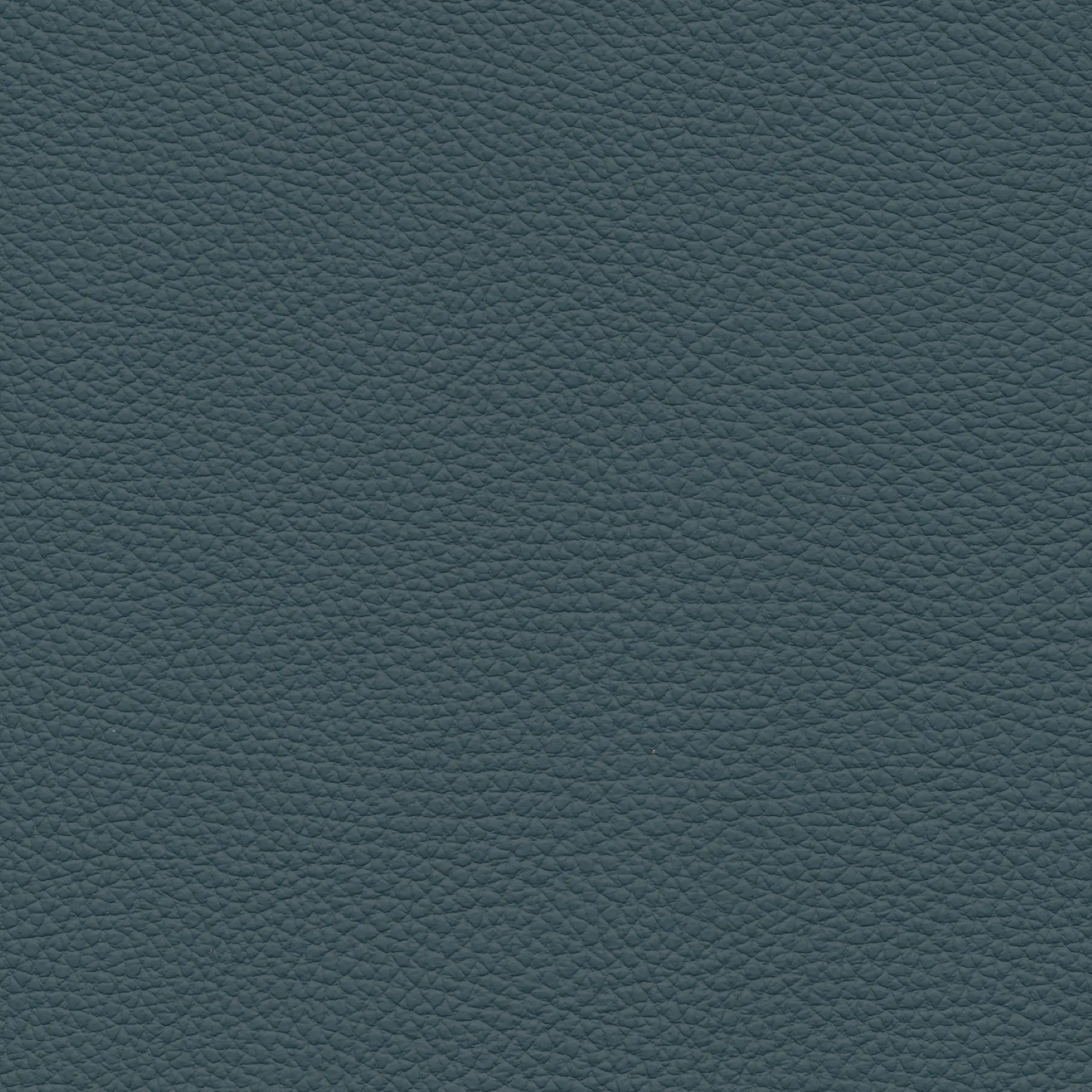 afbeelding van Kleurstaal voor thuis - Toledo Whale (blauw/grijs)