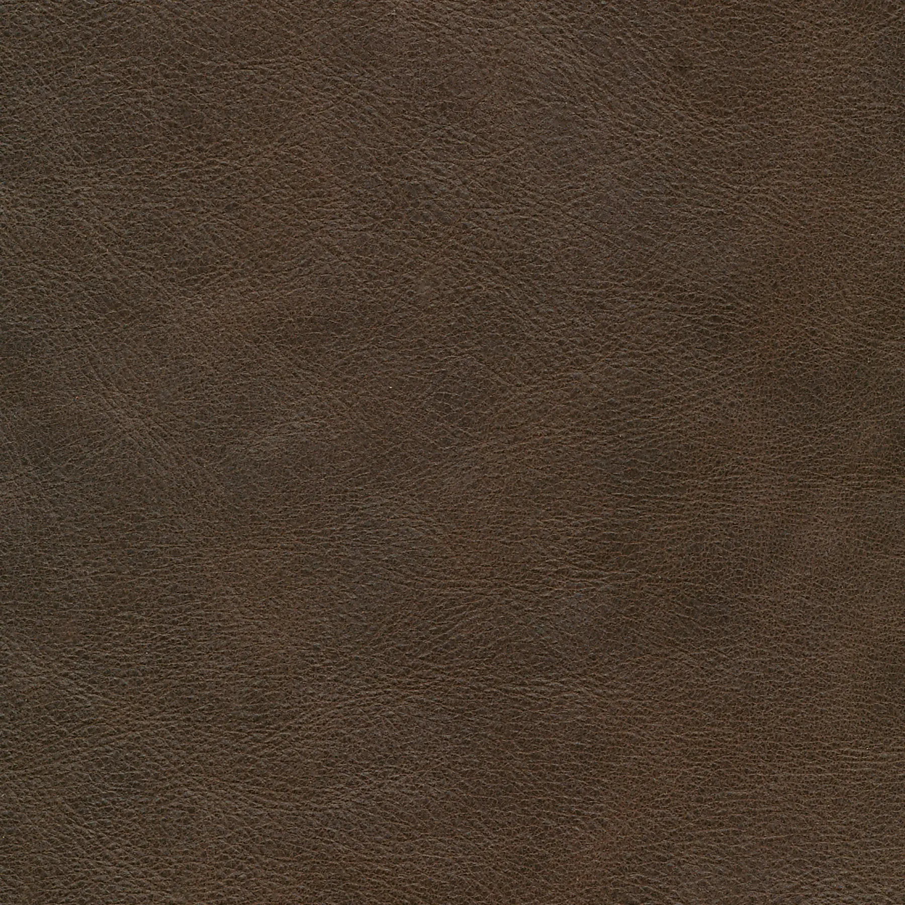 afbeelding van Kleurstaal voor thuis - Vintage Brown (bruin)