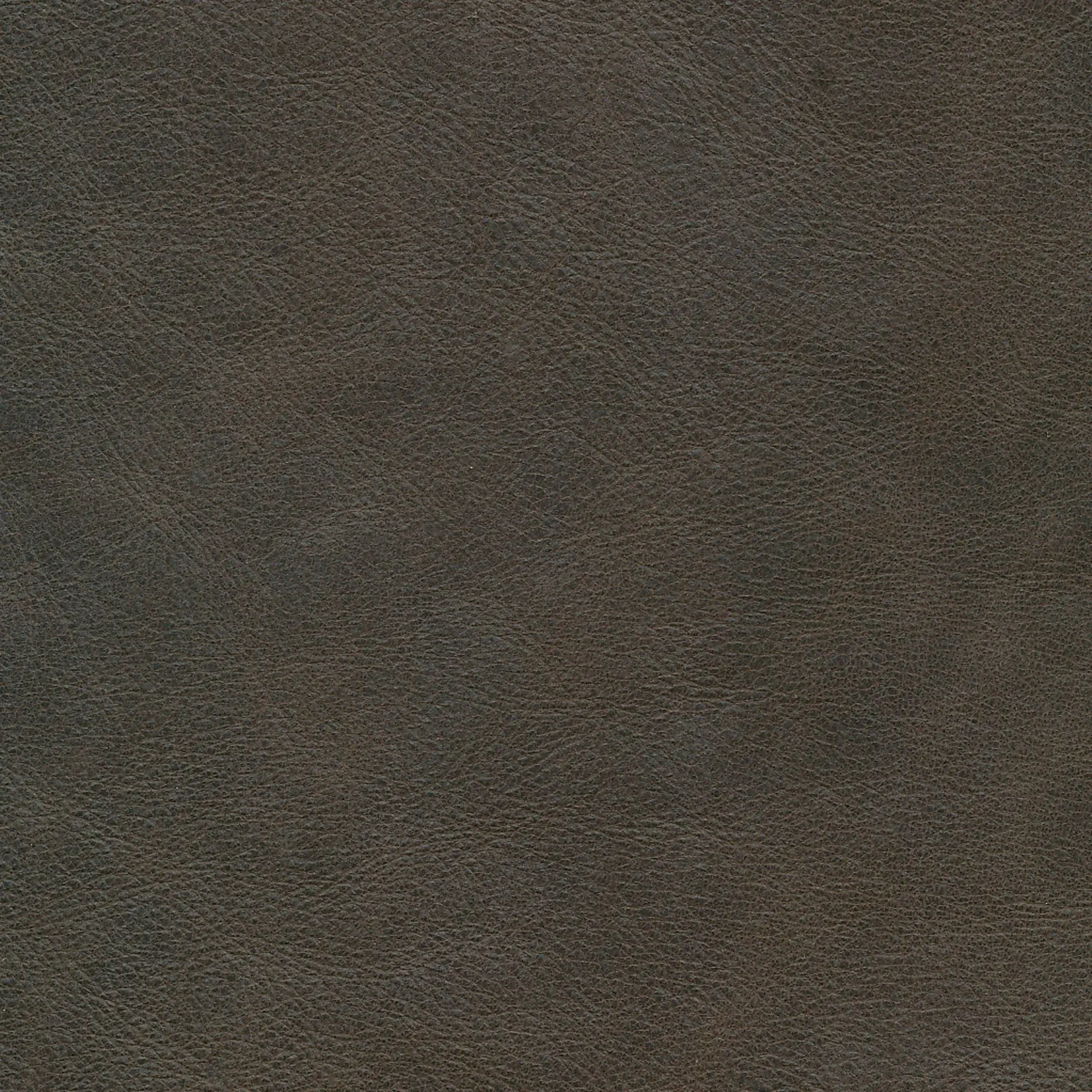 afbeelding van Kleurstaal voor thuis - Vintage Elephant (donkerbruin)