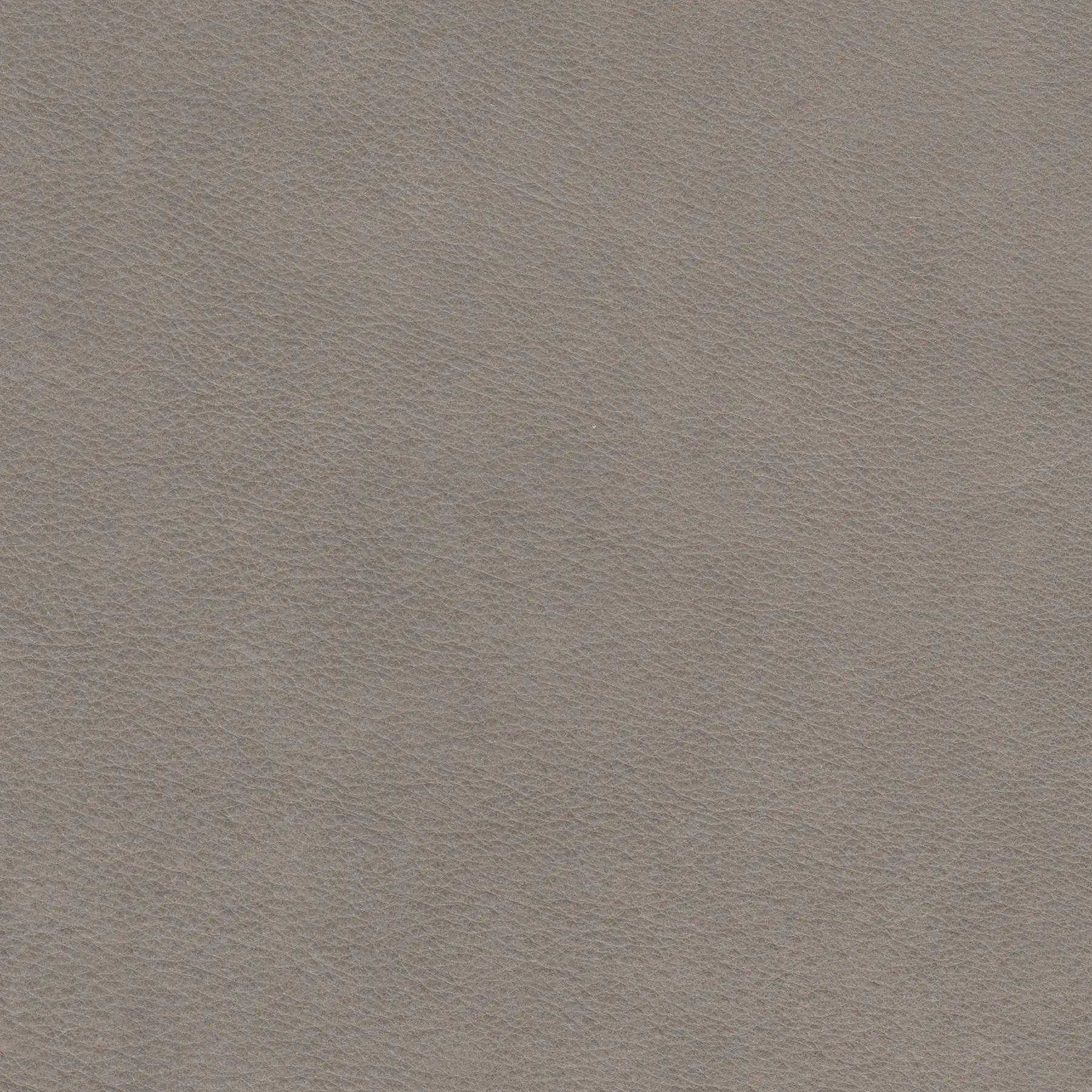 afbeelding van Kleurstaal voor thuis - Vintage Lightgrey (lichtgrijs)