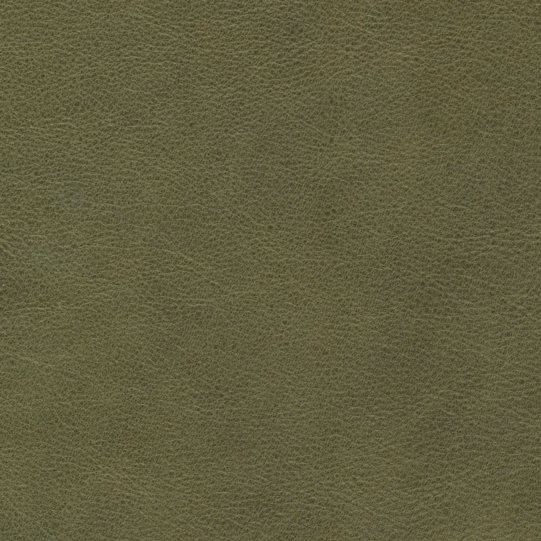 afbeelding van Kleurstaal voor thuis - Vintage Olive (olijf/groen)