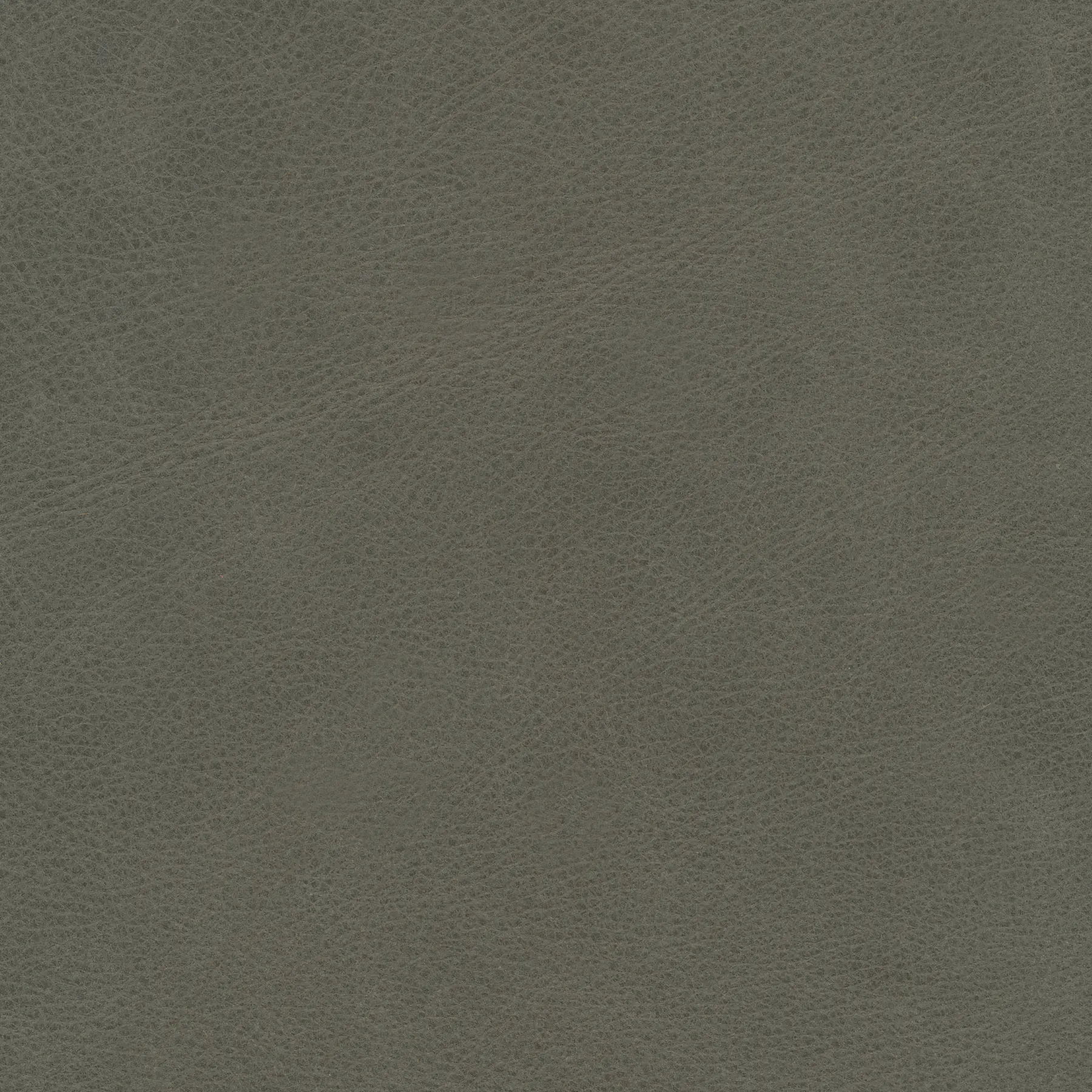 afbeelding van Kleurstaal voor thuis - Vintage Stone (grijs)