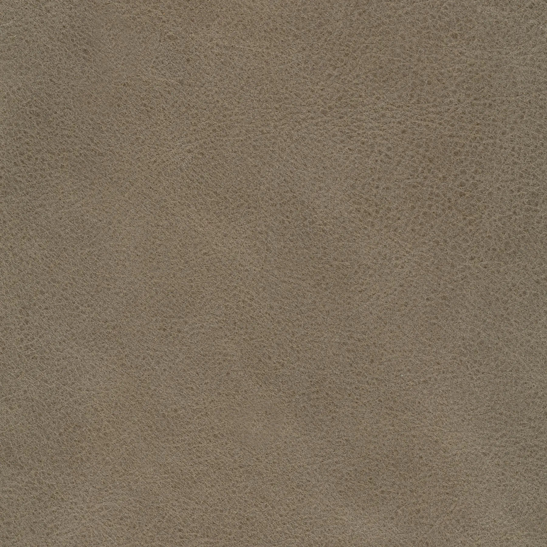 afbeelding van Kleurstaal voor thuis - Vintage Taupe (taupe/bruin)