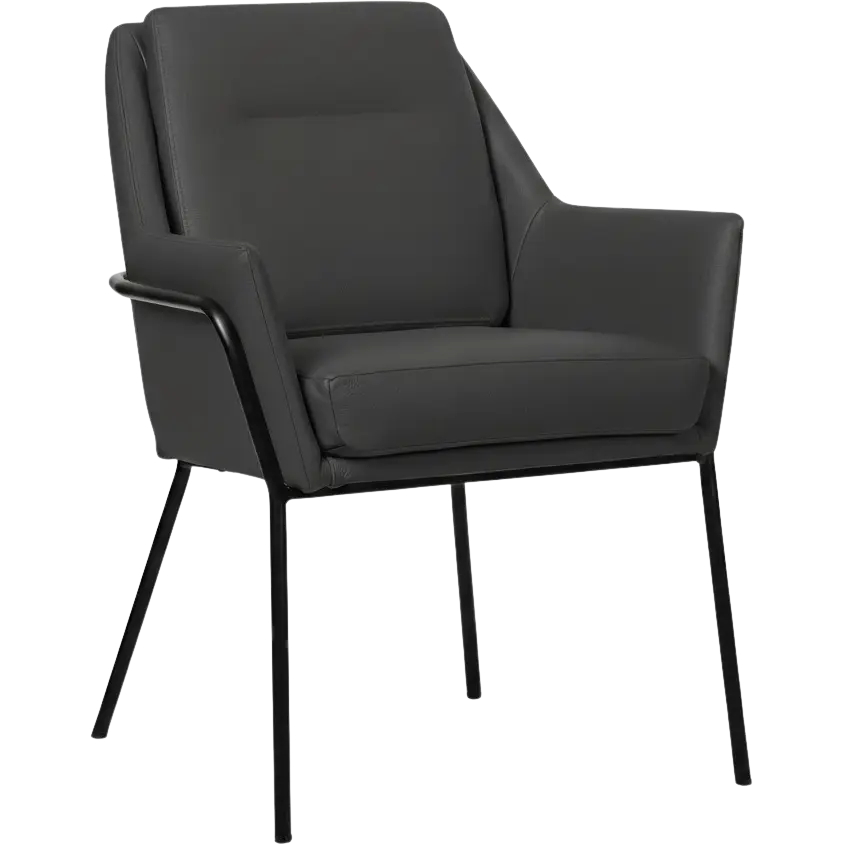 afbeelding van Leren eetkamerstoel Mix - Toledo Antracite (donkergrijs) - Poten staal rond zwart