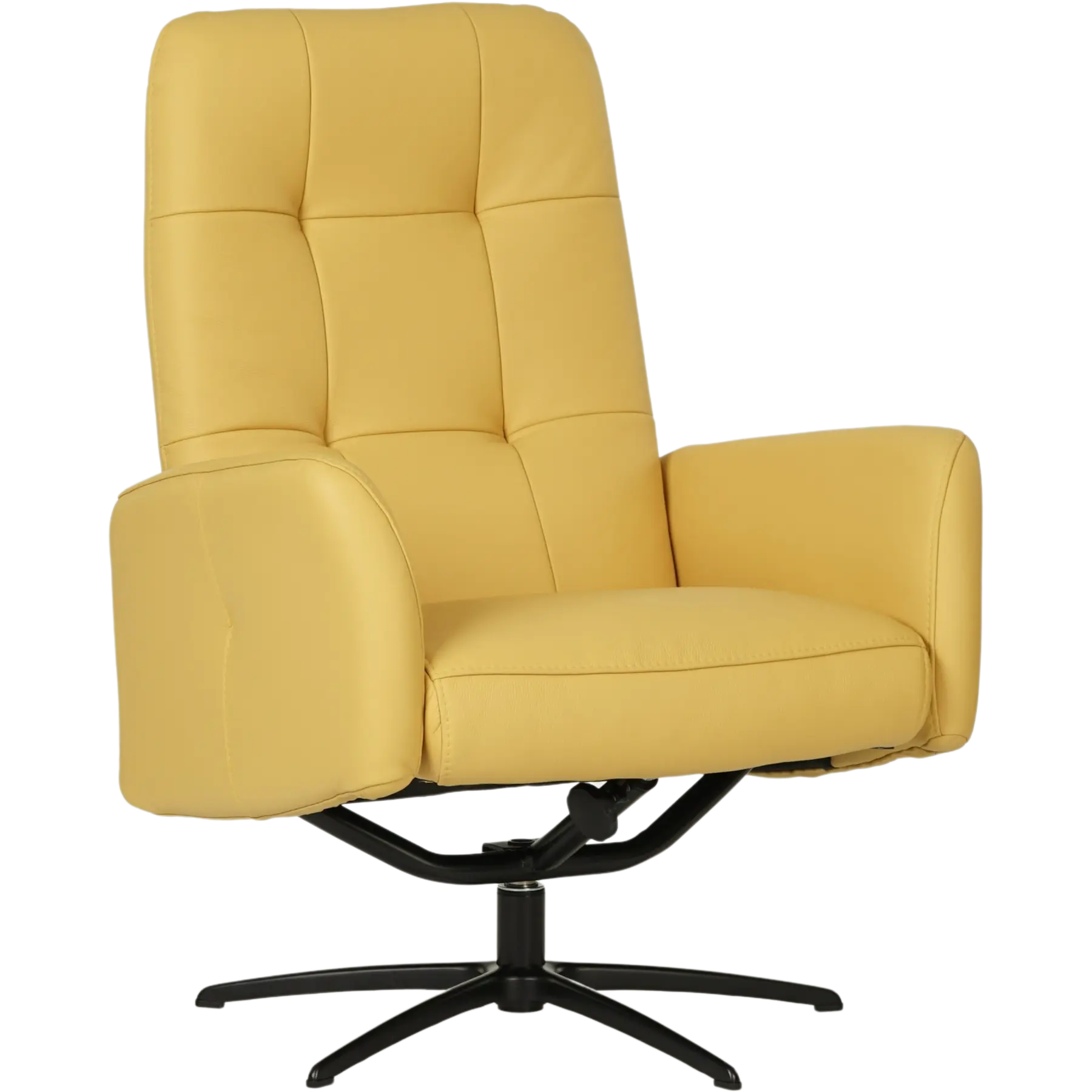 afbeelding van Leren draaifauteuil Pulse