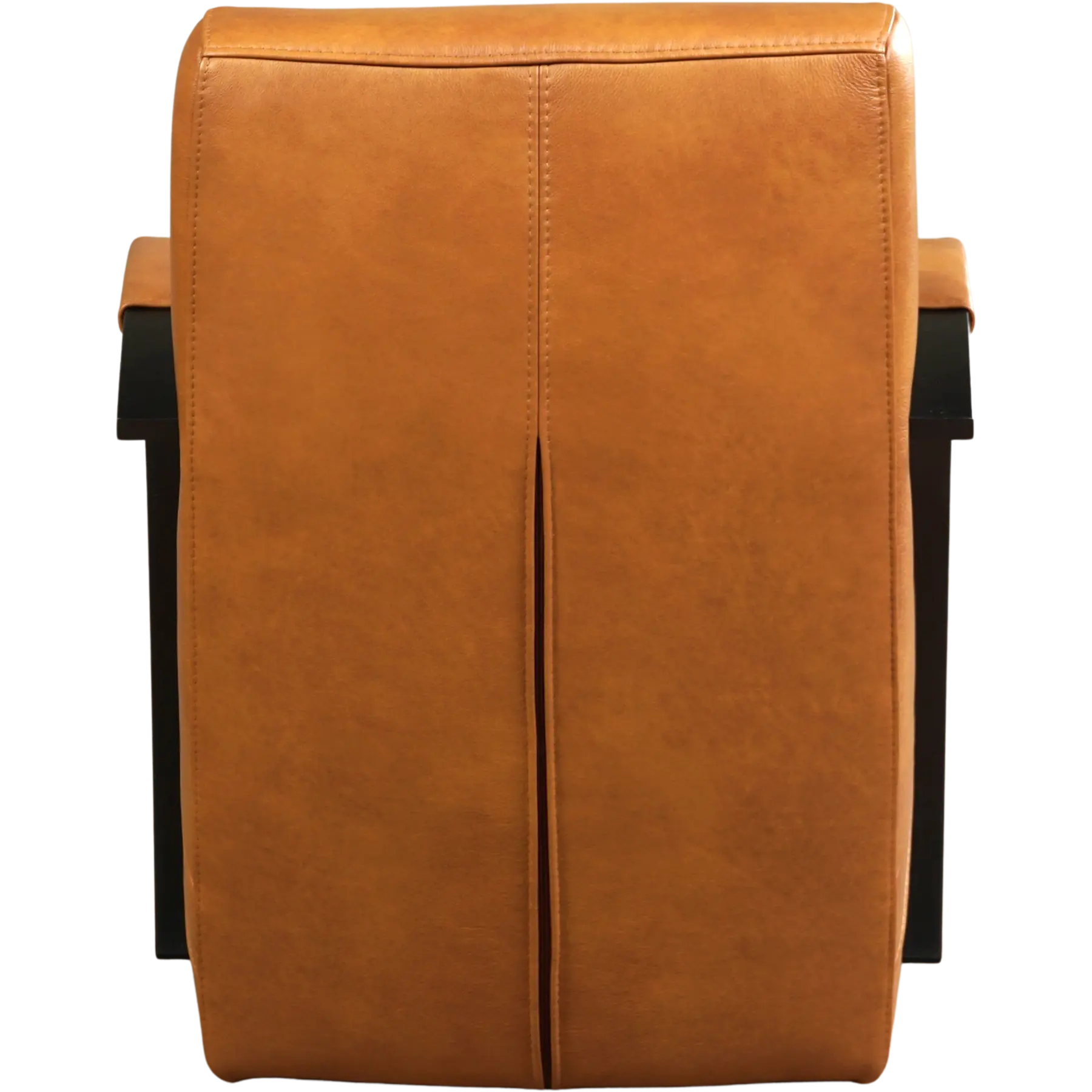 afbeelding van Leren fauteuil Magnificent - Granada Sahara (cognac)