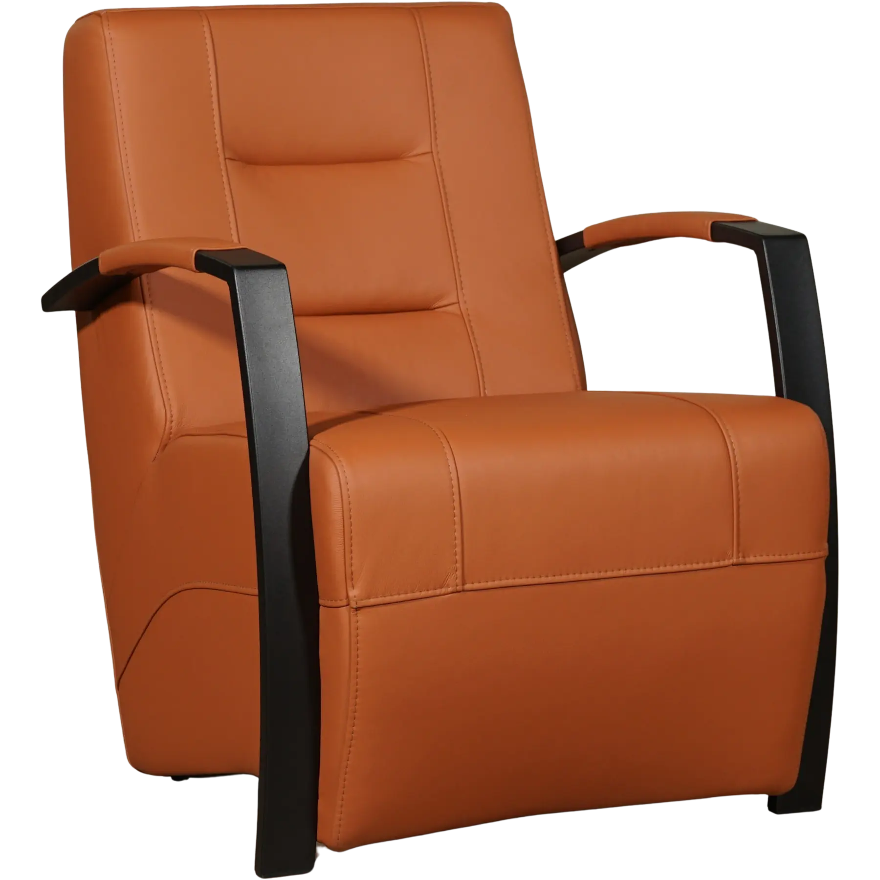 afbeelding van Leren fauteuil Magnificent - Hermes Cognac (cognac/oranje)