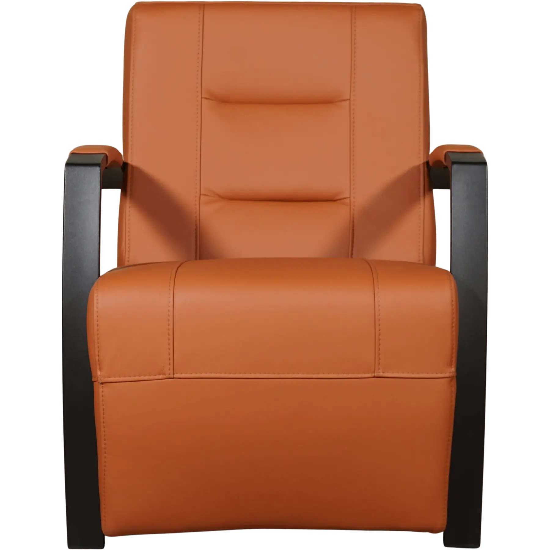 afbeelding van Leren fauteuil Magnificent - Hermes Cognac (cognac/oranje)