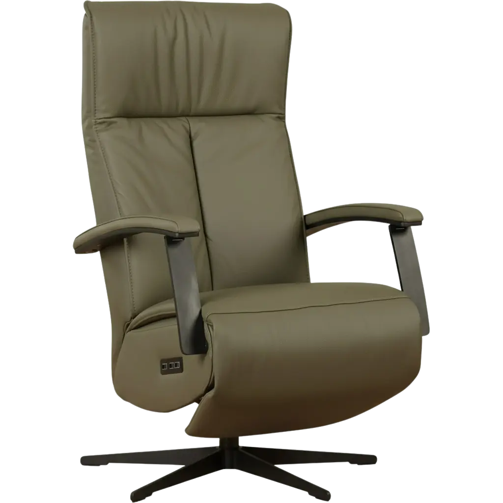 afbeelding van Leren sta-op-stoel Pure - Toledo Olive (olijf/groen) - large - stervoet zwart (slank)