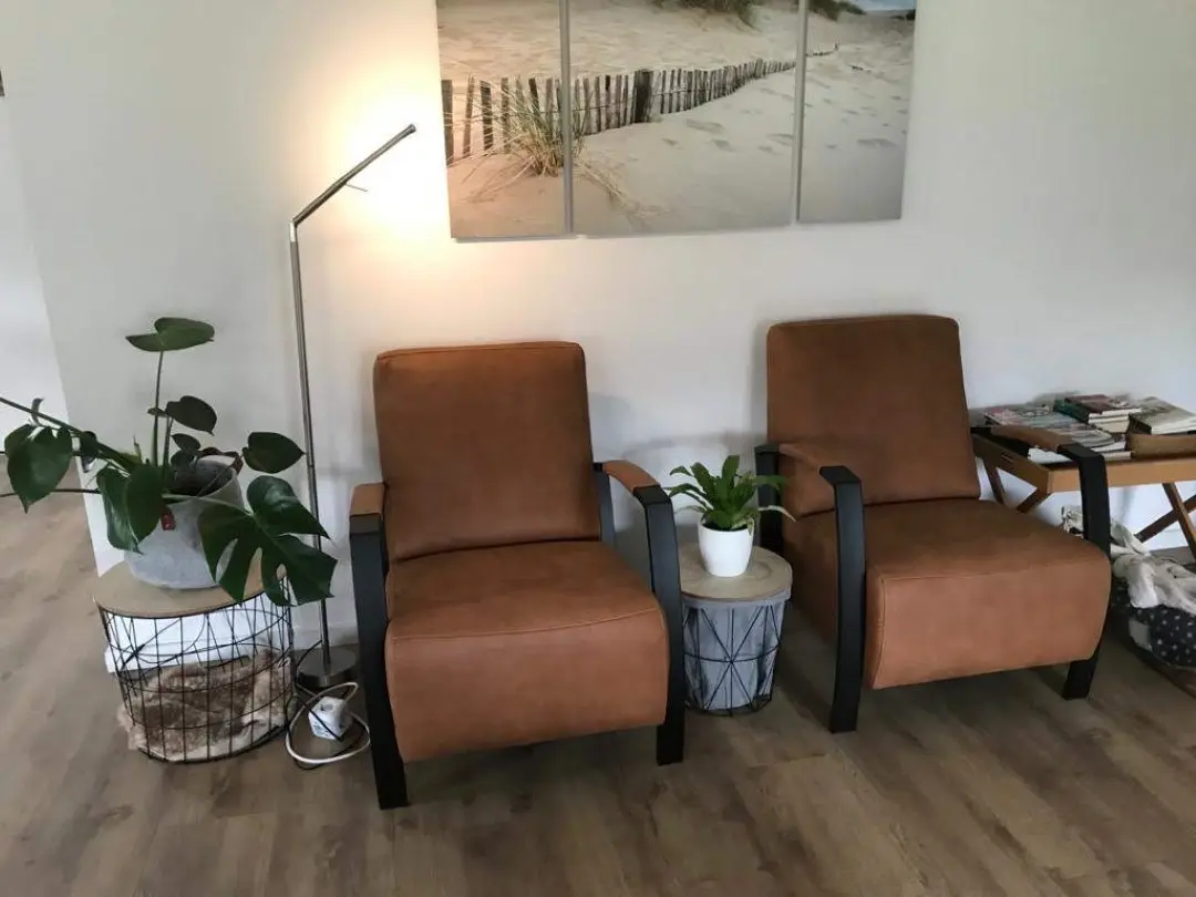 afbeelding van Set van 2 bruine leren fauteuils met stalen frame