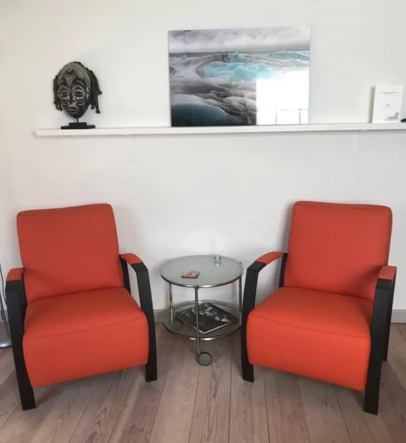 afbeelding van Set van 2 leren fauteuils met stalen frame - oranje leer