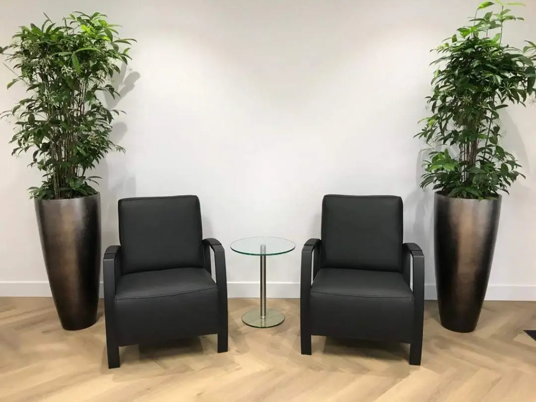 afbeelding van Set van 2 leren fauteuils met stalen frame - zwart leer