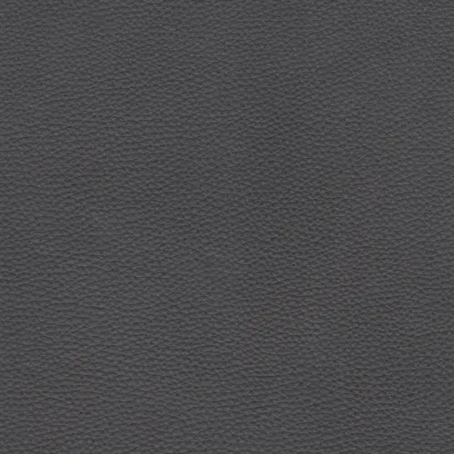 afbeelding van Leren fauteuil Lodge - Elegance Antracite (donkergrijs)