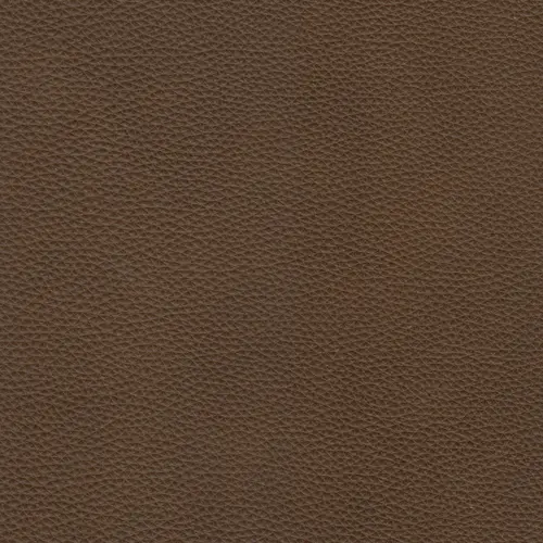 afbeelding van Leren fauteuil Fame - Elegance Brown (bruin)