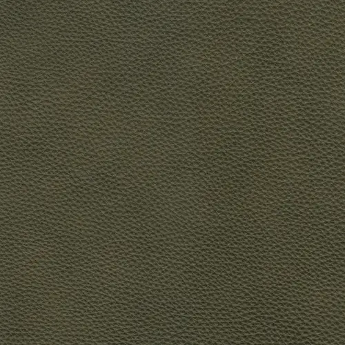 afbeelding van Leren fauteuil Proud - Elegance Green (donkergroen)