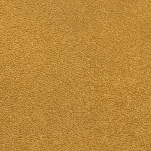 afbeelding van Leren eetkamerstoel Piece - Granada Amber (cognac) - Sledepoot staal rond RVS