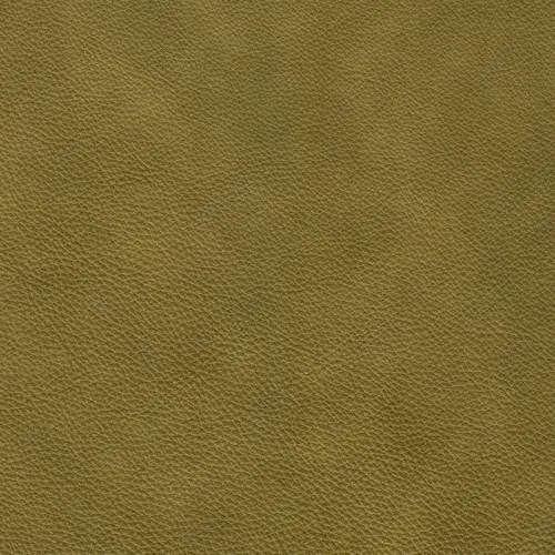 afbeelding van Leren eetkamerstoel Comfort - Granada Olive (olijf) - Poten staal rond zwart