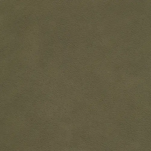 afbeelding van Leren eetkamerstoel Mass - Kenia Olive (olijf) - Met handgreep RVS