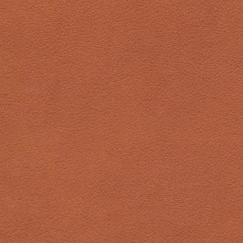 afbeelding van Leren barkruk Have hoog - Kenia Rost (oranje)