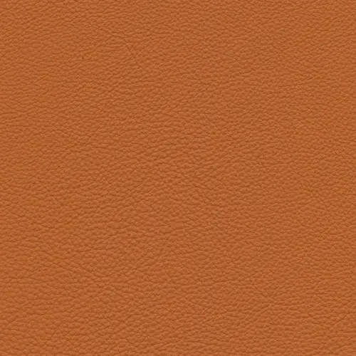 afbeelding van Leren bank Clear - 2 zits - Massif Cognac (cognac/oranje) - Poten hout zwart