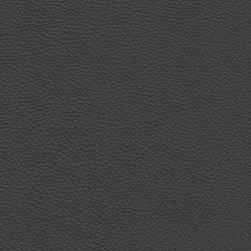 afbeelding van Leren bank Enjoy - 2 zits - Massif Graphite (donkergrijs) - Poten hout bruin