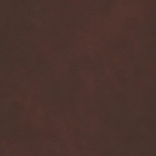 afbeelding van Leren barkruk Have hoog - Rancho Brown (bruin)