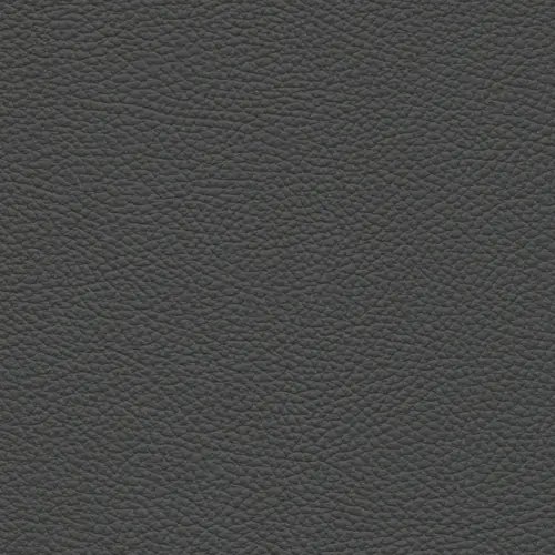 afbeelding van Leren barkruk Have hoog - Toledo Antracite (donkergrijs)