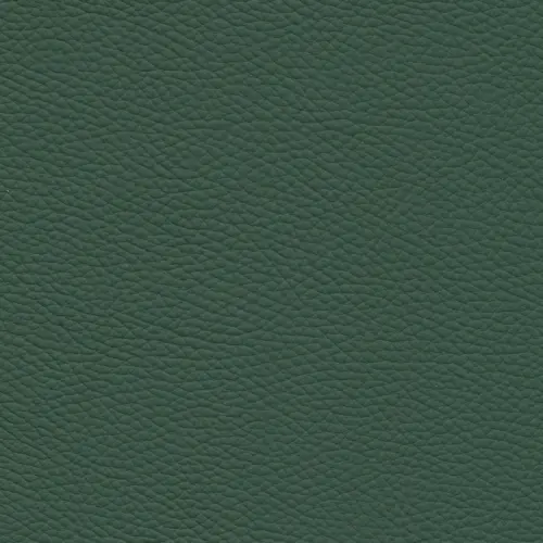 afbeelding van Leren fauteuil Less - Toledo Forrest (groen)