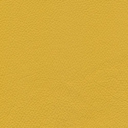 afbeelding van Leren eetkamerstoel Wave - Toledo Giallo (geel) - Spinpoot staal rond zwart