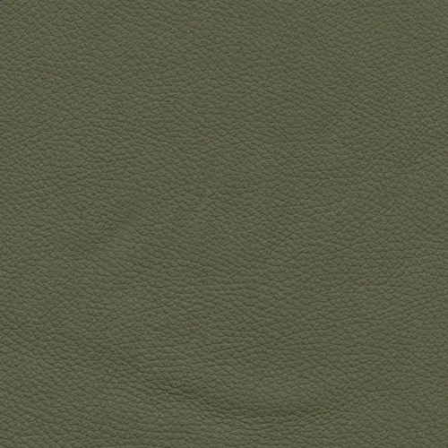 afbeelding van Leren eetkamerstoel Comfort met wieltjes en armleuning - Toledo Olive (olijf/goen) - Poten staal rond zwart