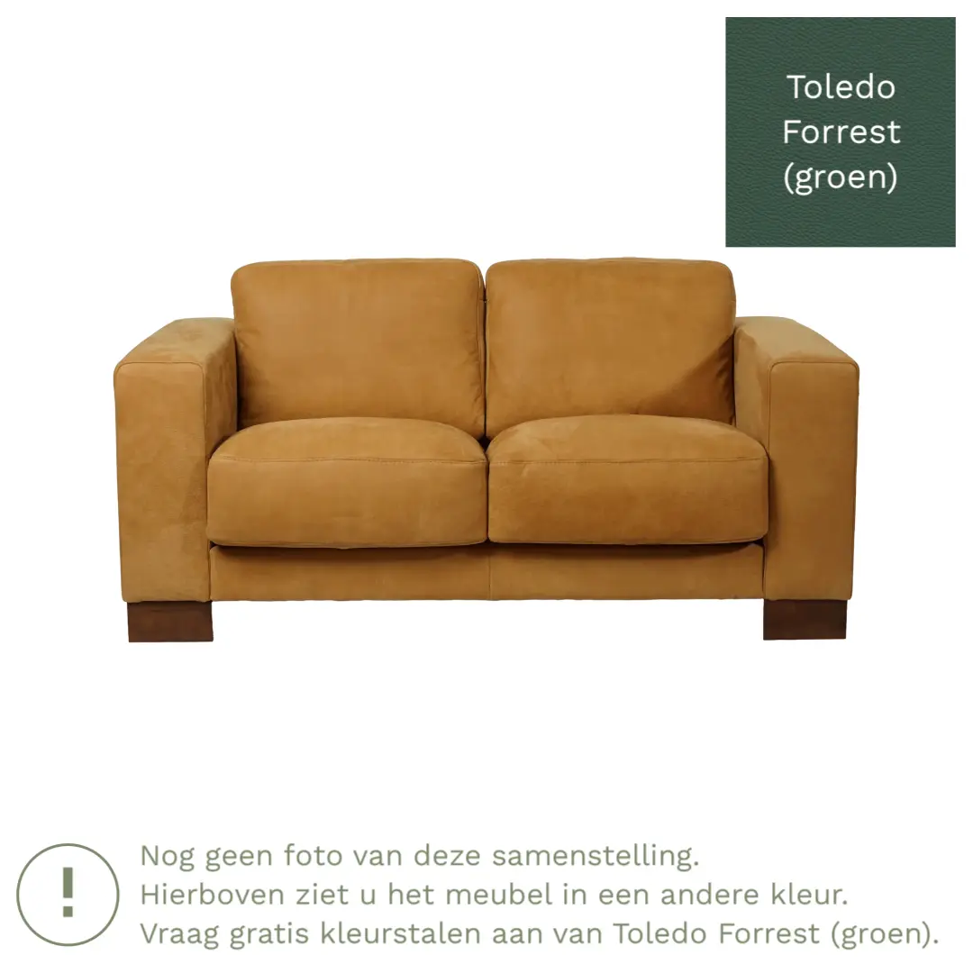afbeelding van Leren bank Clear - 2 zits - Toledo Forrest (groen) - Poten staal zwart