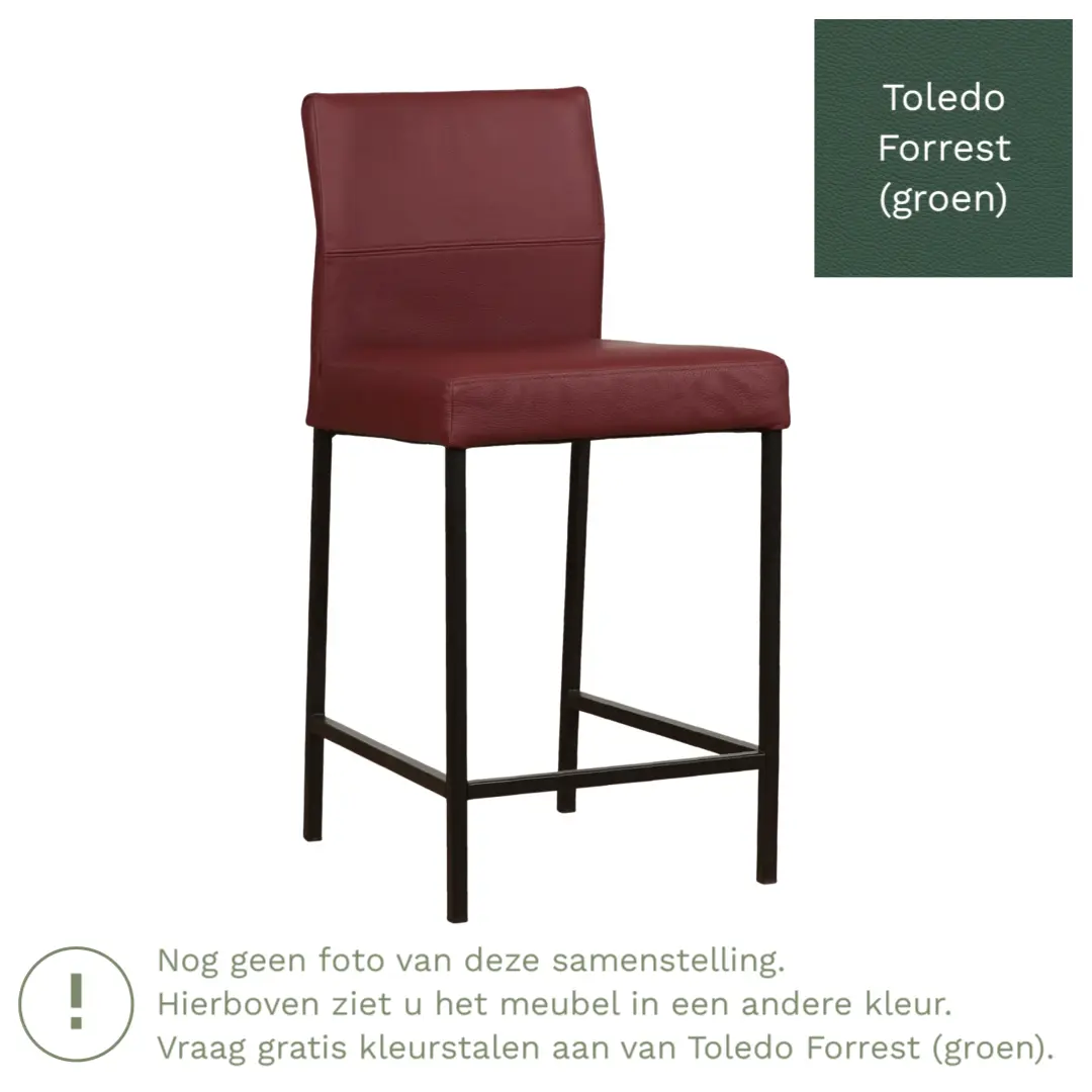 afbeelding van Leren barkruk Bright laag - Toledo Forrest (groen) - Poten staal vierkant RVS