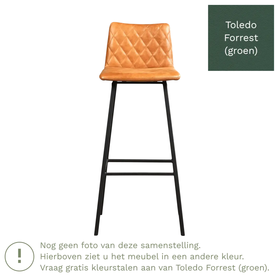 afbeelding van Leren barkruk Catch hoog - Toledo Forrest (groen) - Poten staal vierkant RVS