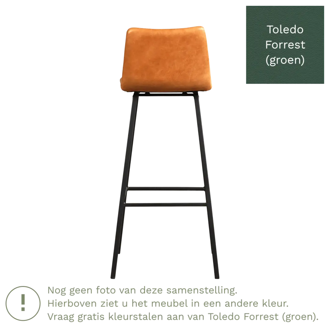 afbeelding van Leren barkruk Catch hoog - Toledo Forrest (groen) - Poten staal vierkant RVS