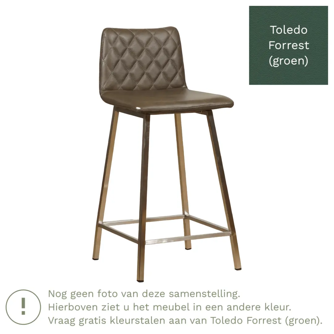 afbeelding van Leren barkruk Catch laag - Toledo Forrest (groen) - Poten staal vierkant RVS