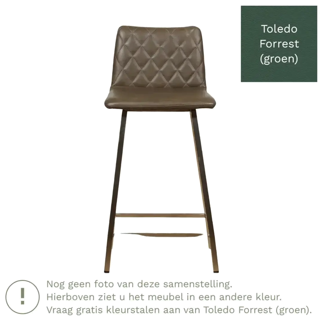 afbeelding van Leren barkruk Catch laag - Toledo Forrest (groen) - Poten staal vierkant RVS