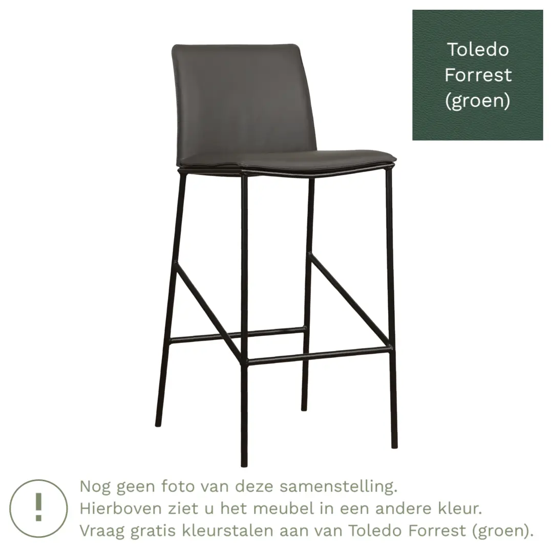 afbeelding van Leren barkruk Favor hoog - Toledo Forrest (groen) - Poten staal rond zwart