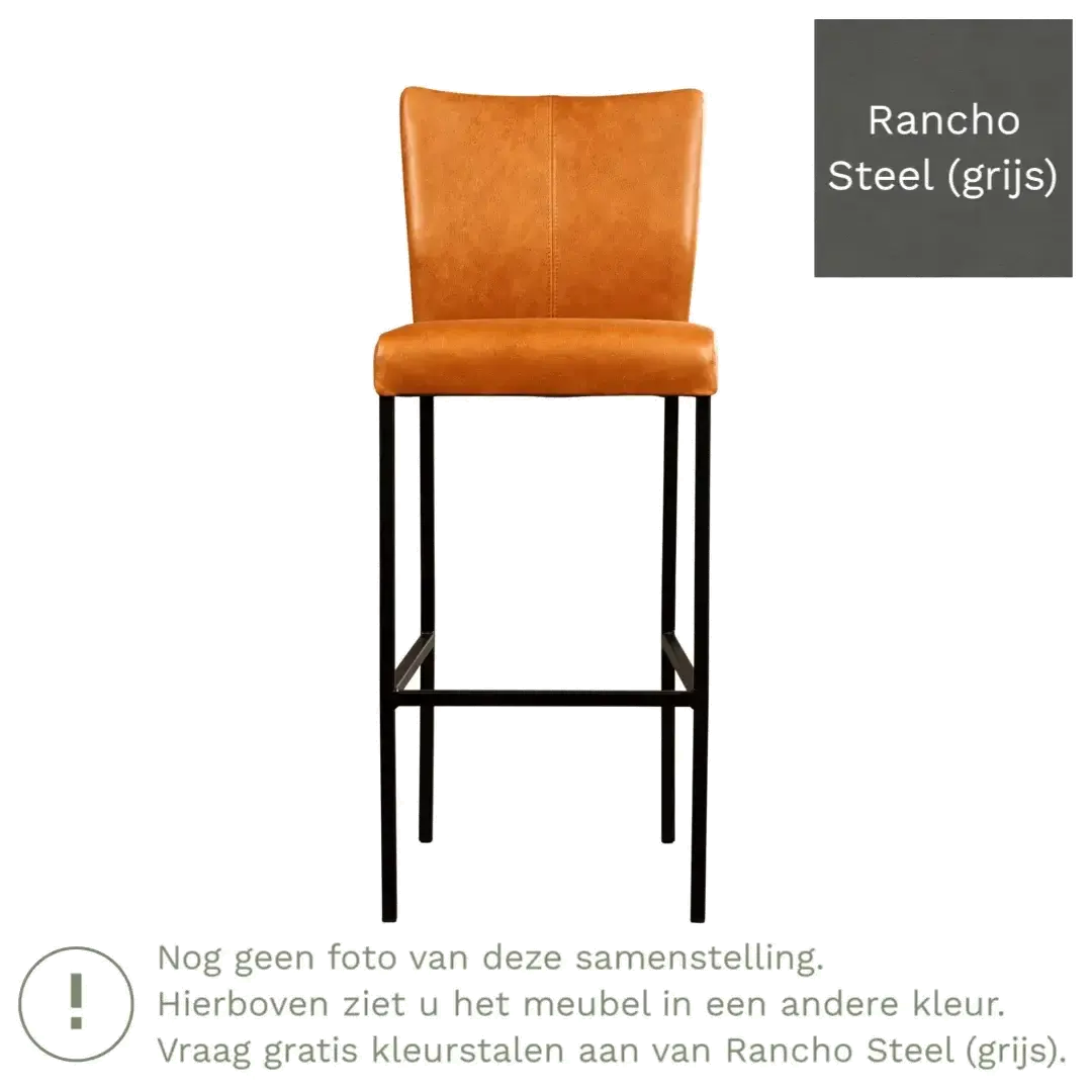 afbeelding van Leren barkruk Revolt hoog - Rancho Steel (grijs) - Poten staal vierkant RVS