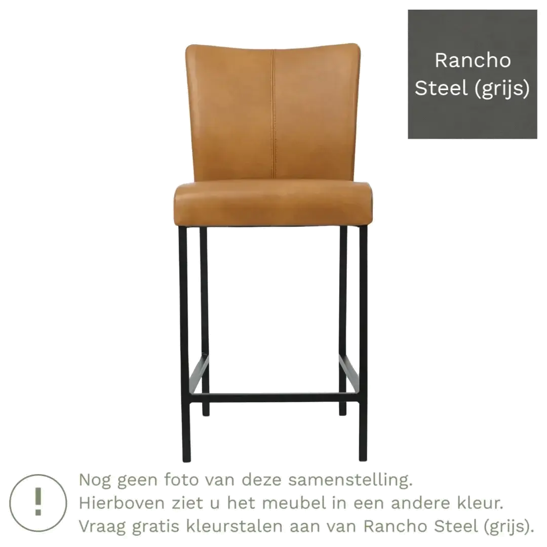 afbeelding van Leren barkruk Revolt laag - Rancho Steel (grijs) - Poten staal vierkant RVS